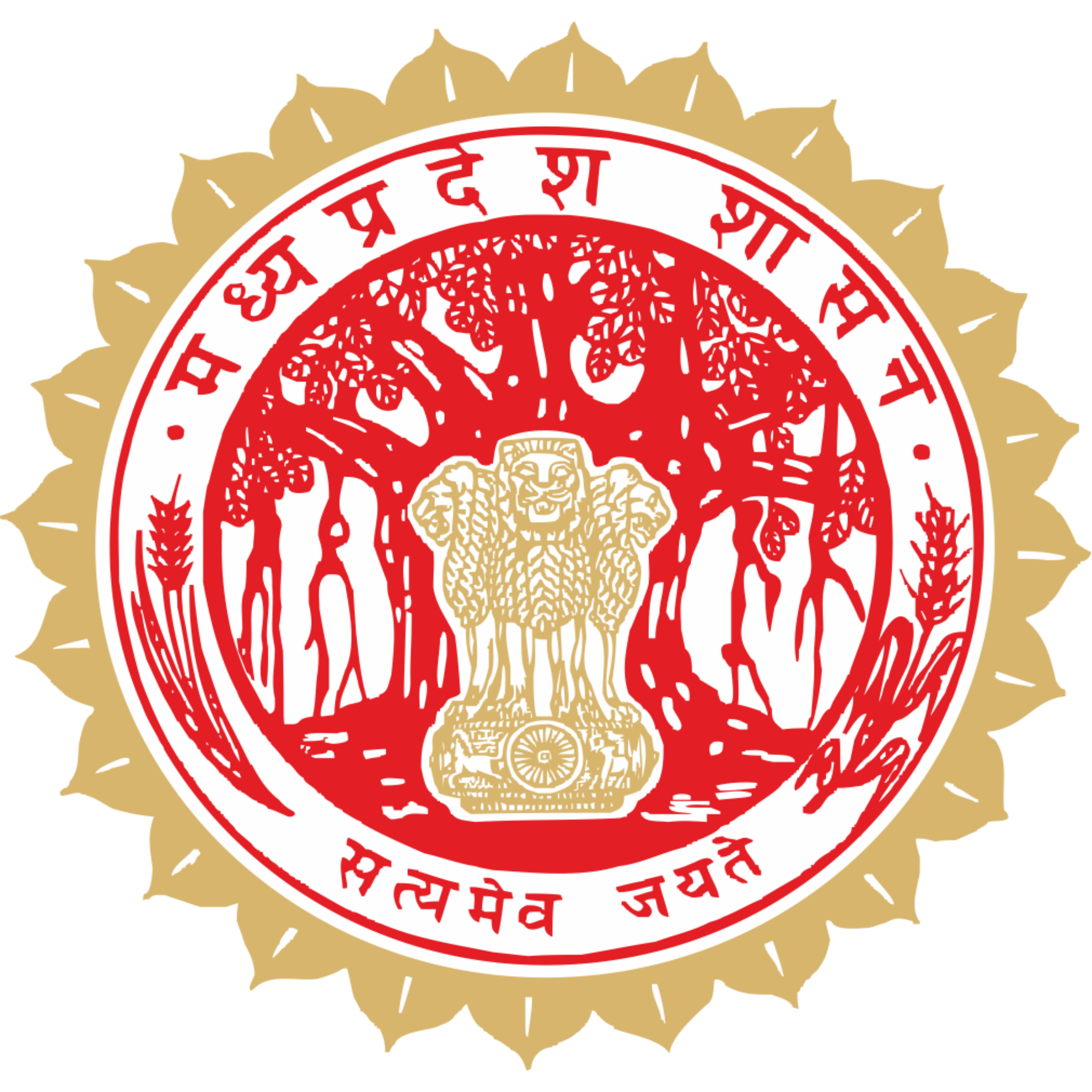 STSF Logo
