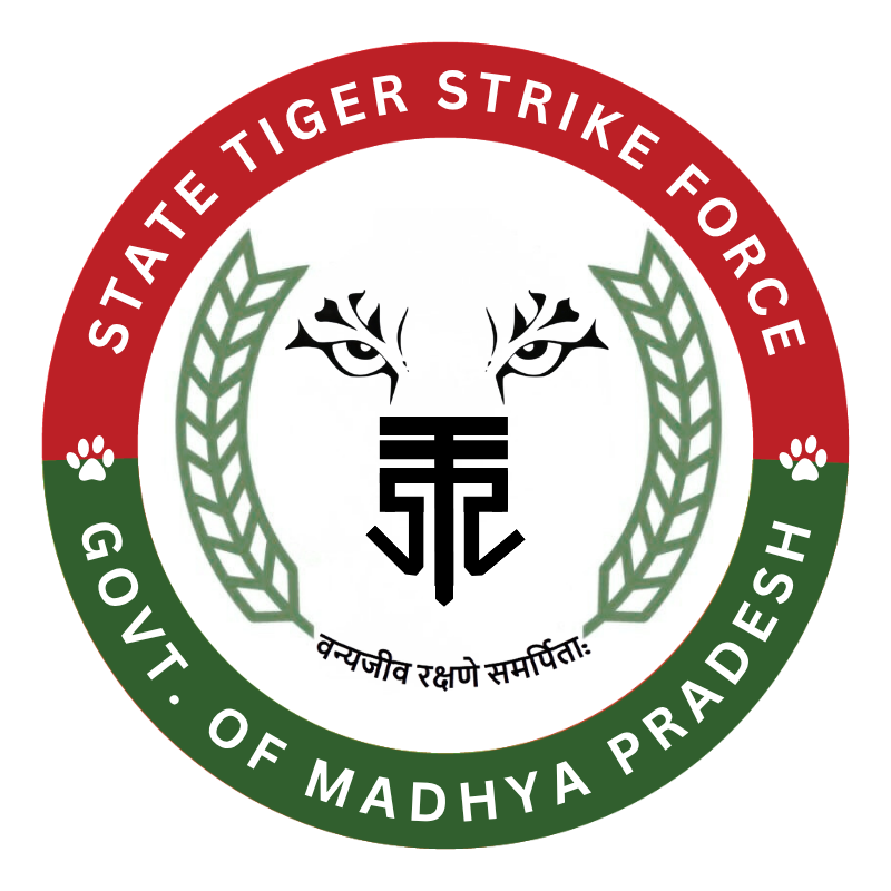 STSF Logo
