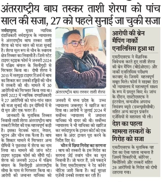 अंतरराष्ट्रीय बाघ तस्कर ताशी शेरपा को पांच साल की सजा, 27 को पहले सुनाई जा चुकी सजा