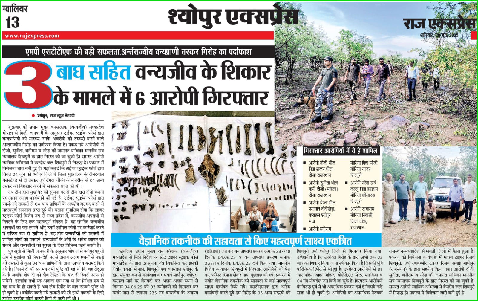 एमपी एसटीटीएफ की बड़ी सफलता,  अर्न्तराज्यीय वन्यप्राणी तस्कर गिरोह का पर्दाफाश  बाघ सहित वन्यजीव के शिकार  के मामले में 6 आरोपी गिरफ्तार