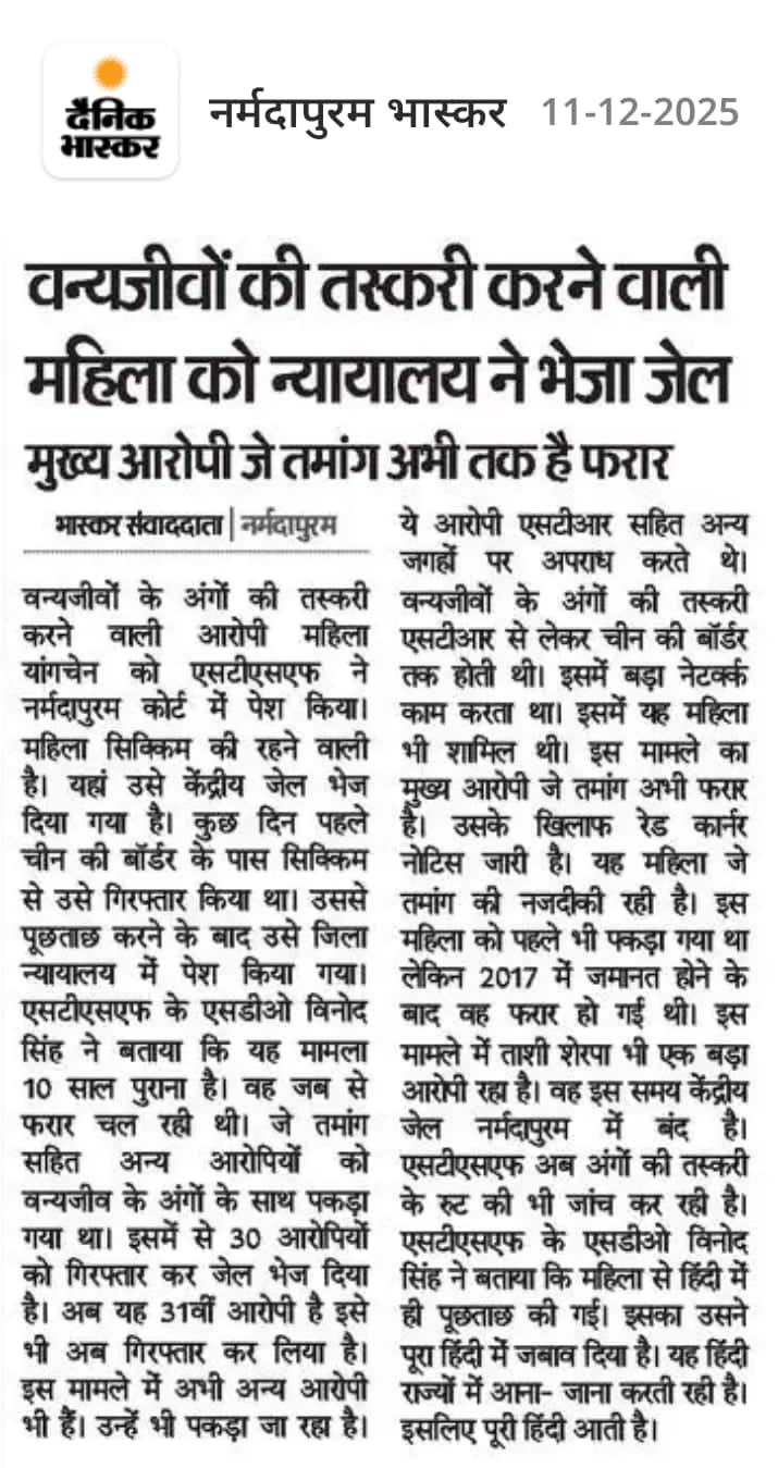 वन्यजीवों की तस्करी करने वाली महिला को न्यायालय ने भेजा जेल- मुख्य आरोपी जे तमांग अभी तक है फरार