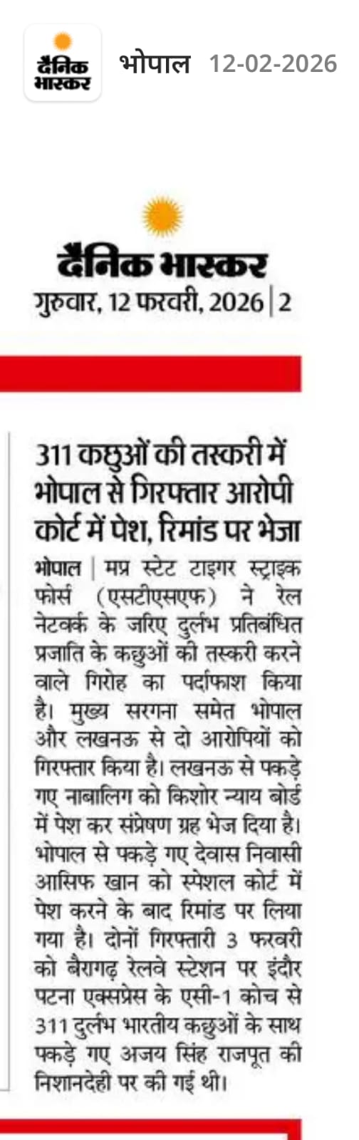 311 कछुओं की तस्करी में भोपाल से गिरफ्तार आरोपी कोर्ट में पेश, रिमांड पर भेजा